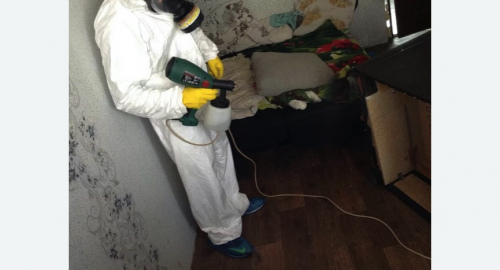 Обработка квартир от насекомых в Усть-Катаве