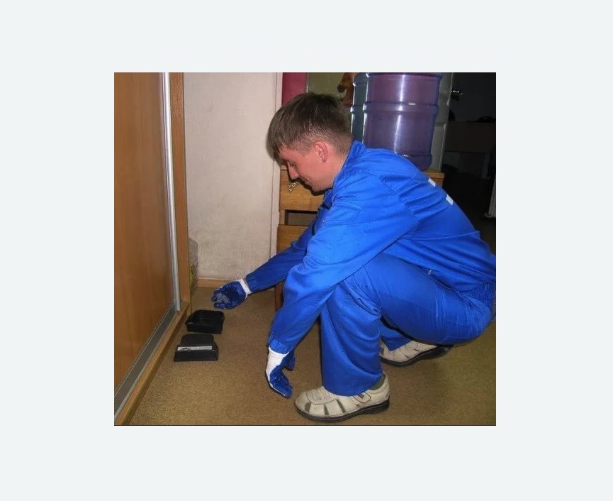 Дератизация крыс в Усть-Катаве