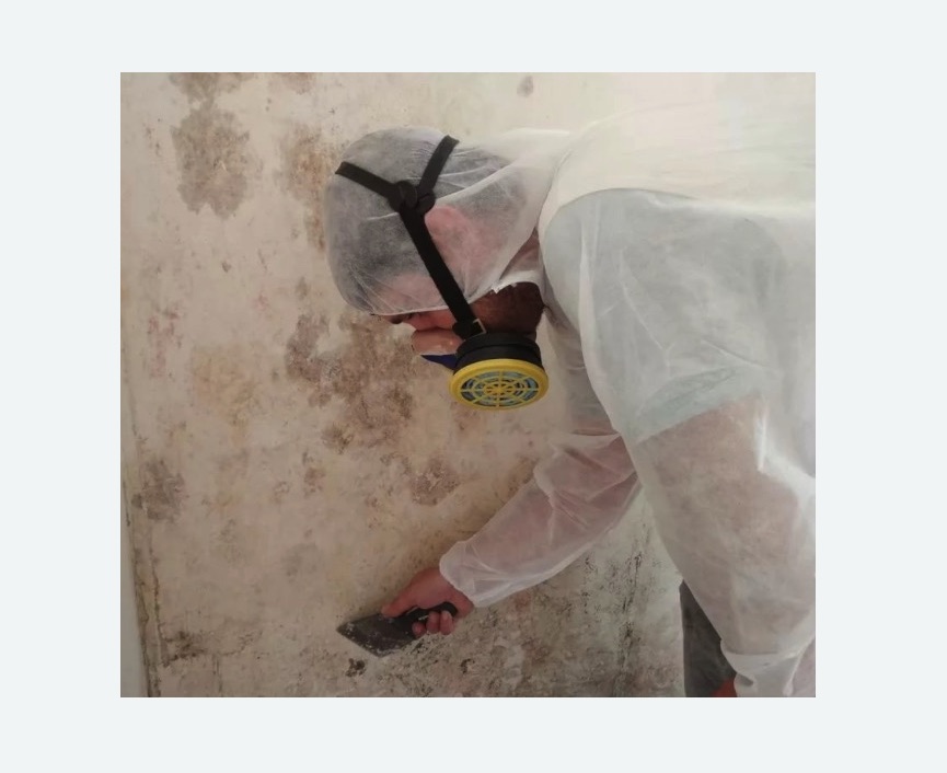 Обработка стен от плесени в Усть-Катаве