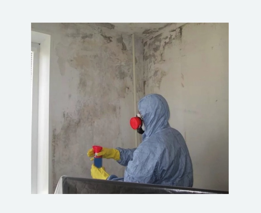 Удаление плесени в квартире в Усть-Катаве