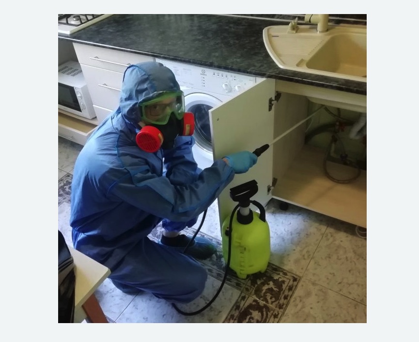 обработка от муравьев в квартире в Усть-Катаве